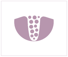 REGENERACIÓN ÓSEA